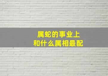 属蛇的事业上和什么属相最配