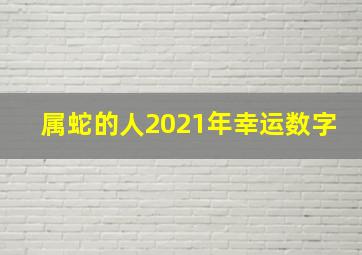 属蛇的人2021年幸运数字