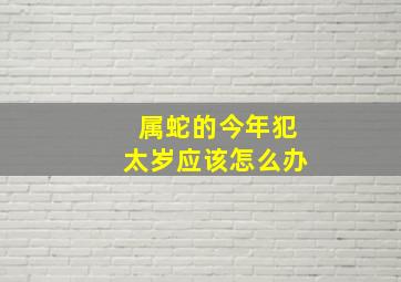 属蛇的今年犯太岁应该怎么办