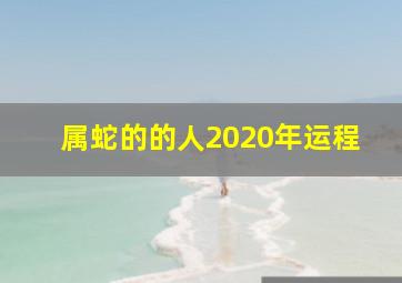 属蛇的的人2020年运程