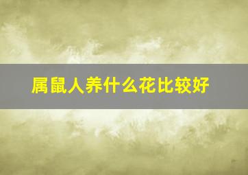 属鼠人养什么花比较好