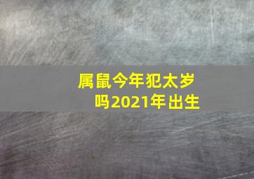 属鼠今年犯太岁吗2021年出生