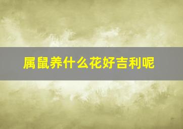 属鼠养什么花好吉利呢