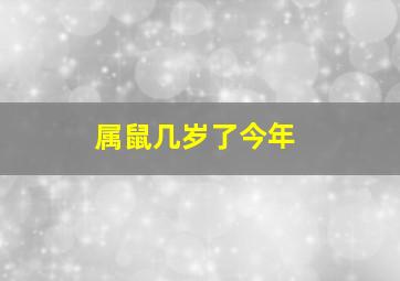 属鼠几岁了今年