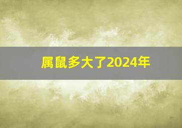 属鼠多大了2024年