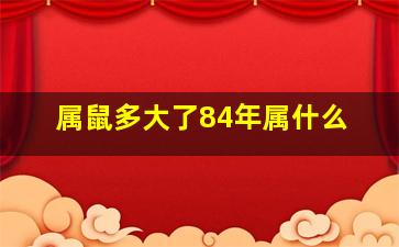 属鼠多大了84年属什么