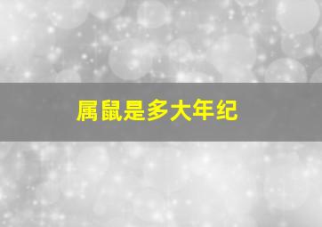 属鼠是多大年纪