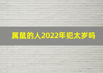 属鼠的人2022年犯太岁吗