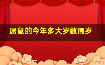 属鼠的今年多大岁数周岁