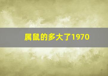 属鼠的多大了1970