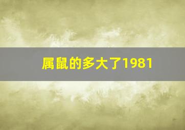 属鼠的多大了1981