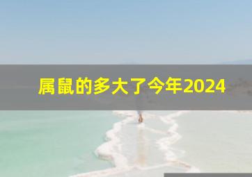 属鼠的多大了今年2024