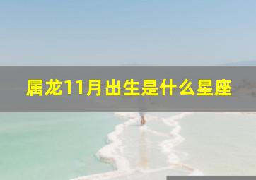 属龙11月出生是什么星座