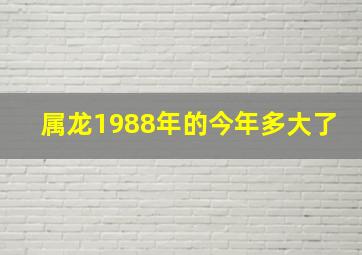 属龙1988年的今年多大了