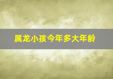 属龙小孩今年多大年龄