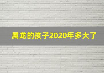 属龙的孩子2020年多大了