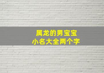 属龙的男宝宝小名大全两个字