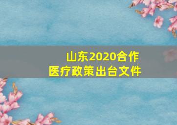 山东2020合作医疗政策出台文件