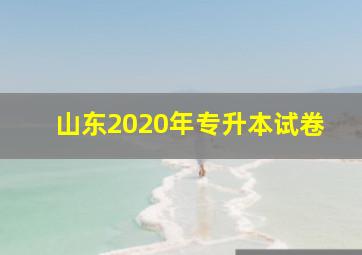 山东2020年专升本试卷