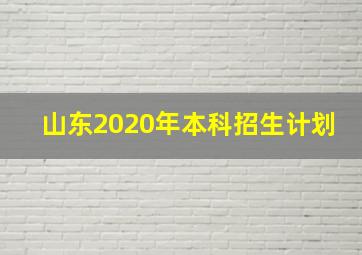 山东2020年本科招生计划