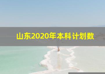 山东2020年本科计划数