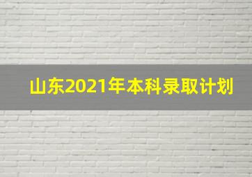 山东2021年本科录取计划