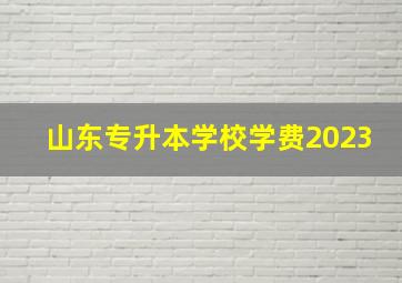 山东专升本学校学费2023