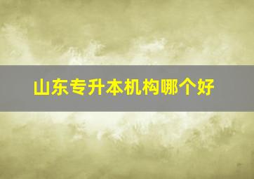 山东专升本机构哪个好