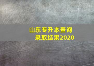 山东专升本查询录取结果2020