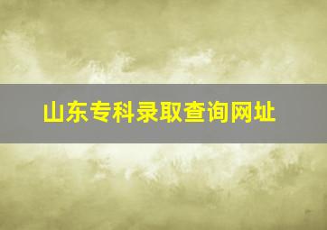 山东专科录取查询网址