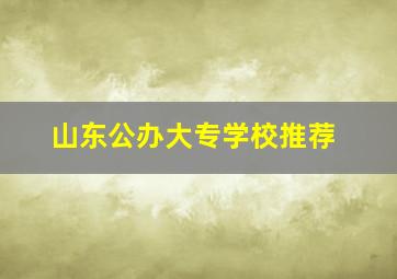 山东公办大专学校推荐