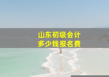 山东初级会计多少钱报名费