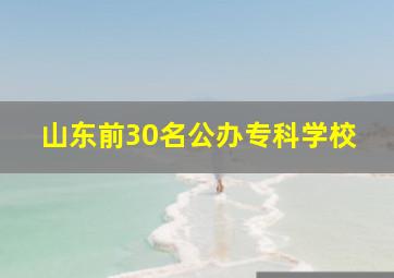 山东前30名公办专科学校