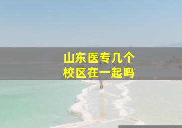 山东医专几个校区在一起吗