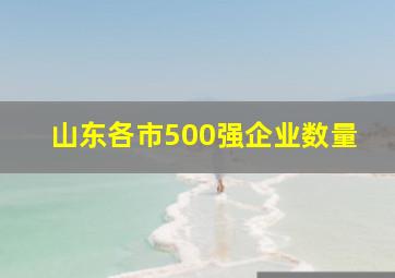 山东各市500强企业数量