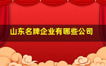 山东名牌企业有哪些公司