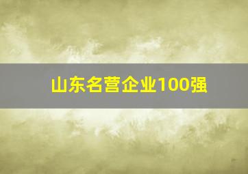 山东名营企业100强