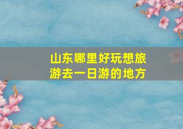 山东哪里好玩想旅游去一日游的地方