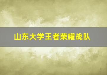 山东大学王者荣耀战队