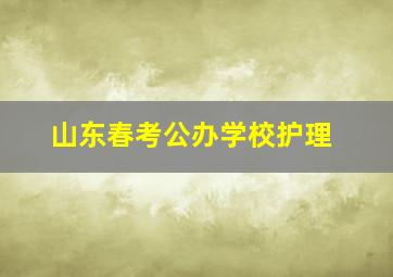 山东春考公办学校护理