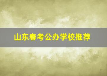 山东春考公办学校推荐