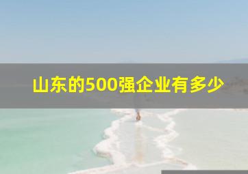 山东的500强企业有多少