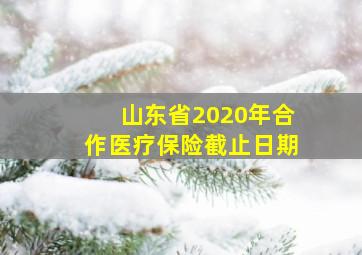 山东省2020年合作医疗保险截止日期