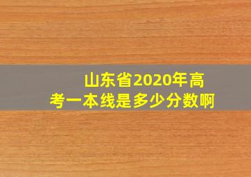 山东省2020年高考一本线是多少分数啊