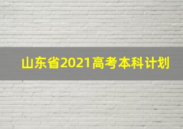 山东省2021高考本科计划