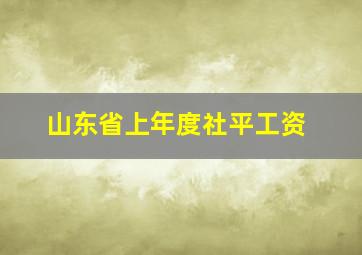 山东省上年度社平工资