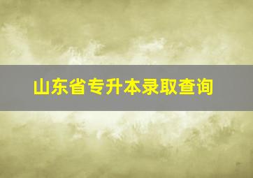 山东省专升本录取查询