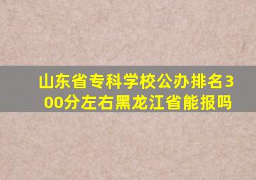 山东省专科学校公办排名300分左右黑龙江省能报吗