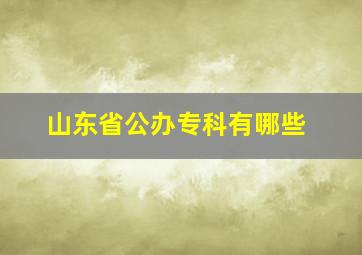 山东省公办专科有哪些