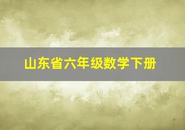 山东省六年级数学下册